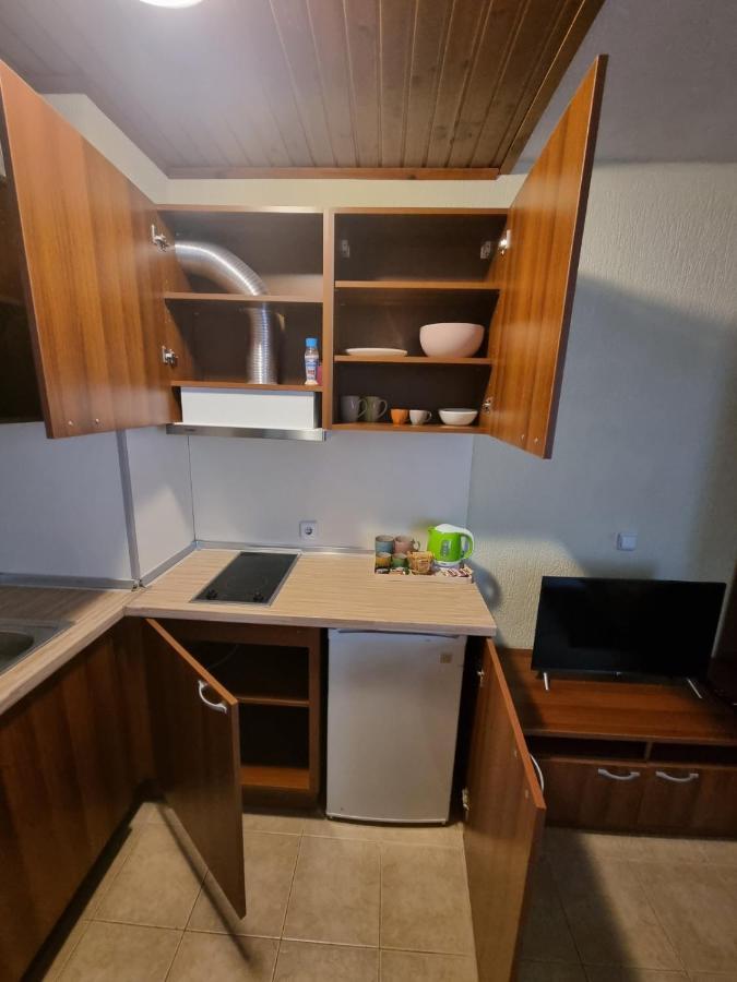 Cosy Apartments Within Walking Distance To Ski Lifts Бансько Екстер'єр фото